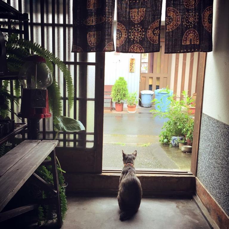 Buddha Guest House Tanabe Zewnętrze zdjęcie
